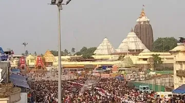 Know about important rituals associated with Holy Trinity’s Rath Yatra 