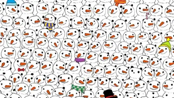 Can you spot a panda among snowmen in 11 secs?