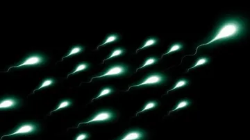 Even mild Covid can ‘permanently damage’ semen quality in men: Study