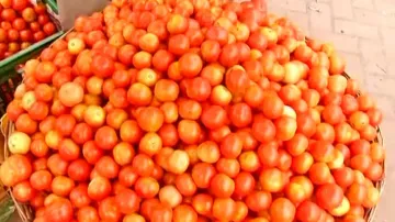 Tomato price hike