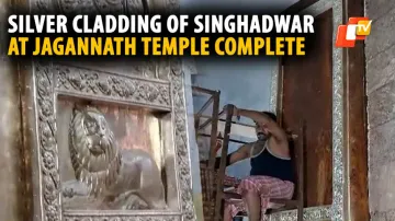 Silver Cladding, Lion's Gate, Puri