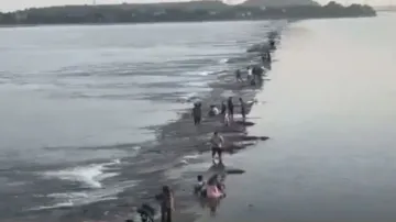 People take selfies inside Kathajodi river in Naraj