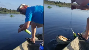 Man finds huge crocodile stuck in fishing hook; watch what happens next
