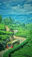 10 most beautiful and breathtaking roads in India