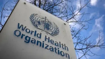 WHO formally labels artificial sweetener aspartame a 'possible carcinogen'