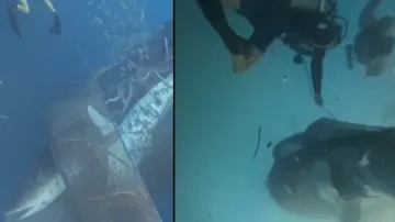 Group of divers rescue 5 whale sharks trapped in fishing net; watch