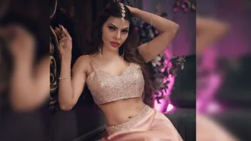 Sherlyn Chopra 'slept with people for money'; now reveals with whom
