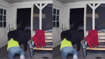 Man fights off huge bear to save beloved pet dog – Watch bone-chilling video