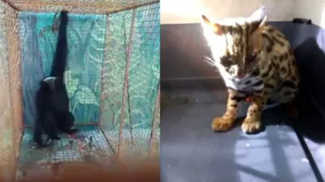 Nandankanan zoo welcomes 4 new guests from Arunachal Pradesh