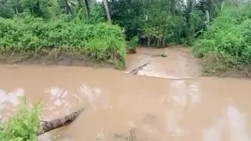 Breach At Canal Embankment