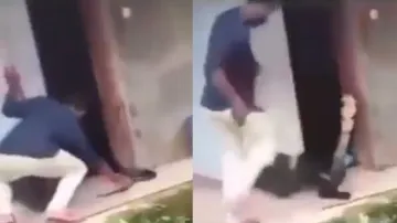 Huge King Cobra in its full glory after rescuer pulls its tail; watch