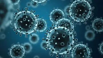 Antibody-based therapies may help fight influenza B: Study