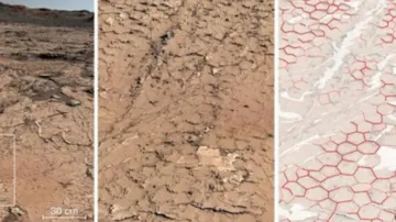 Scientists find environment conducive to emergence of life on Mars