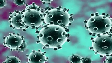 This is how coronaviruses jump from species to speciesThis is how coronaviruses jump from species to