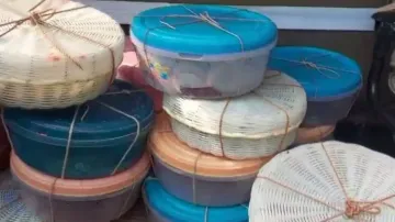 Inter-state snake venom racket busted in Balasore, 26 cobras rescued