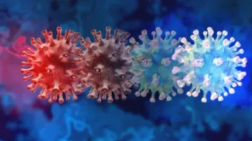  infectious & inflammatory diseases 