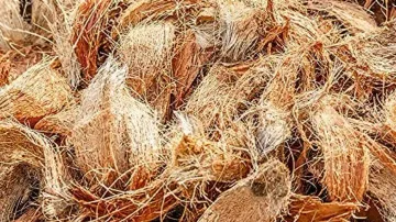 Central universities research says coconut coir has anti-cancerous qualities