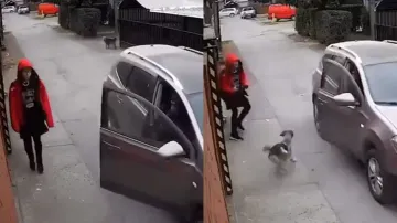 Street dog saves school girl from getting kidnapped; watch