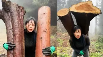 Lady Baahubali! Girl carries huge wooden logs on her back without any help; watch