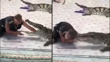 Man puts hand inside crocodile’s mouth, what happens next is alarming; watch