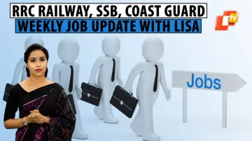 Job Update, LISA 