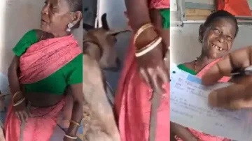 Train ticket for goat! Woman pays for pet's seat, video goes viral