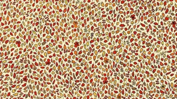 Can you find 4 hidden apples in 11 seconds?