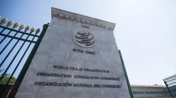 'Re-globalization' more promising than fragmentation: WTO