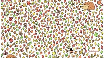 Only 1% of people with sharpest eyes can find an acorn in 11 seconds!
