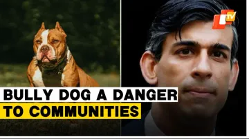 Will ban bully dog breed, it is dangerous for our children: UK PM Rishi Sunak