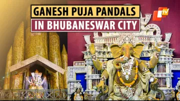 Take A Virtual Tour Of Ganesh Puja Pandals In Bhubaneswar