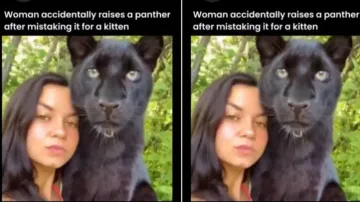 Girl accidentally raises Black Panther mistaking it to be a cat, they become best friends