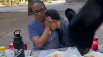 Bear makes surprise entry at birthday bash in park, devours food 