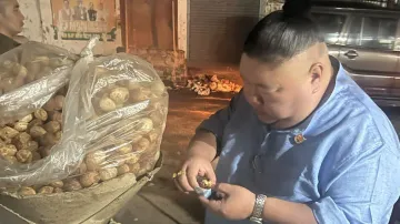 Nagaland Minister shares golgappa photo, sparks playful reactions online