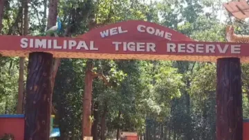 Similipal National Park in Odisha’s Mayurbhanj opens its gate to visitors 