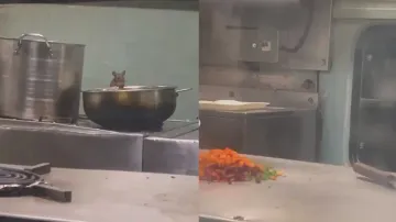 Obnoxious: Rats ‘feast’ on passenger food in Mumbai-Madgaon Express pantry car