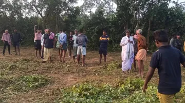 Farmer dies in elephant attack