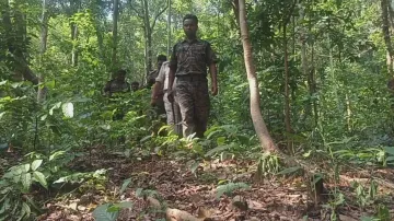 Tiger census in Similipal: Camera trap survey from November 23