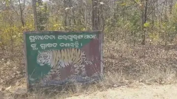Leopard strikes again in Nuapada, 'kills' 8-year-old boy 