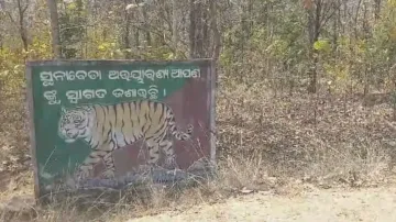 Human Kill in Nuapada: Special squad deployed to track leopard movement