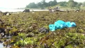 Aquatic weeds choking Kolab reservoir in Odisha’s Koraput