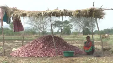 Despite bumper production, onion has brought tears in the eyes of farmers