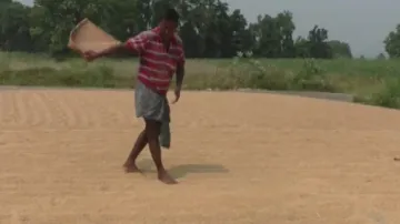 Odisha farmers continue to suffer as state govt yet to resolve mandi issue