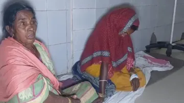 Woman Hospitalised After Trying To Suck Venom From Snakebite Patient 