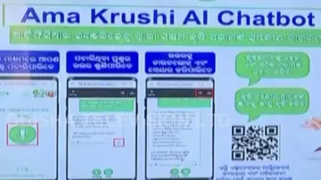 Ama Krushi AI Chatbot