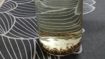 therapeutic types of water