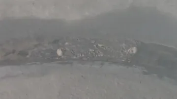 Two suspected human skeletons found in newly-built overhead water tank in Odisha’s Jajpur