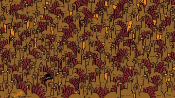 Can you spot three hidden roosters among turkeys in 6 seconds?