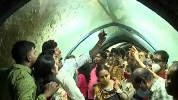 Tunnel Aquarium At Bali Yatra