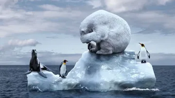 2023 - A year that 'shattered climate records